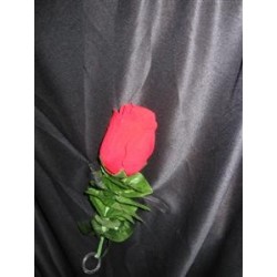 Drooping Rose - (Rosa)
