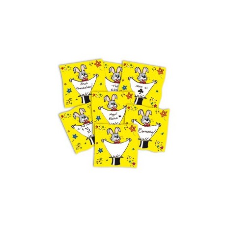 FOULARD SMART MESSAGE - CM 45 X 45
