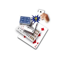 Funny prediction - 7 quadri