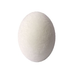 Uovo di spugna - Confezione da 4 pezzi (sponge, foam eggs)
