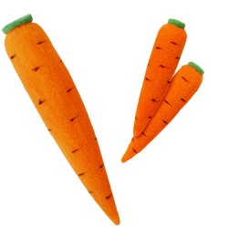 Produzione di carote - Spugna