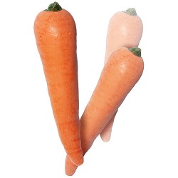 Produzione di carote - Lattice