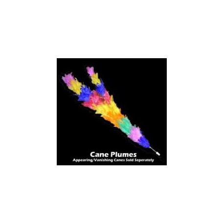 Cane Plumes - Regular - Ft