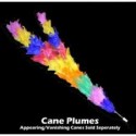 Cane Plumes - Regular - Ft Fiore per bastone a sparizione.