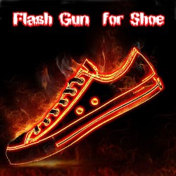 Flash Gun for Shoe