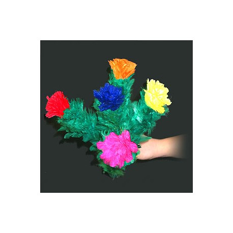 Fiori che sbocciano. 5 fiori