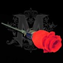The Rose by Bond Lee & Wenzi Magic ( La Rosa).