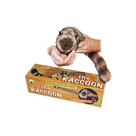 The Raccoon - 100% pelo sintetico