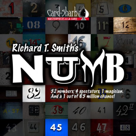 NUMB by Richard T. Smith